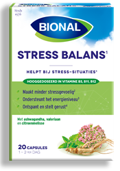 <p>Stress balans</p>